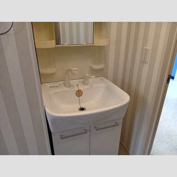 洗面所 (洗髪洗面化粧台)