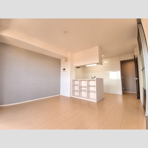 居室・リビング (LDK)