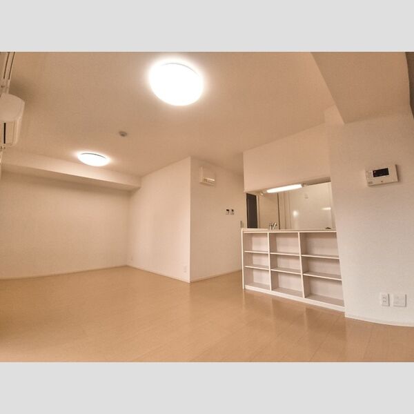 居室・リビング (LDK(プレゼントCP用照明))