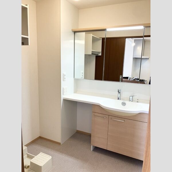 洗面所 (洗髪洗面化粧台)