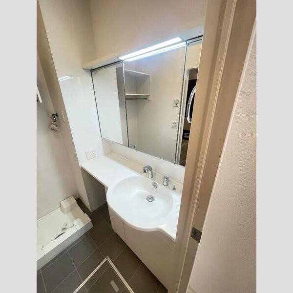 洗面所 (洗髪洗面化粧台)