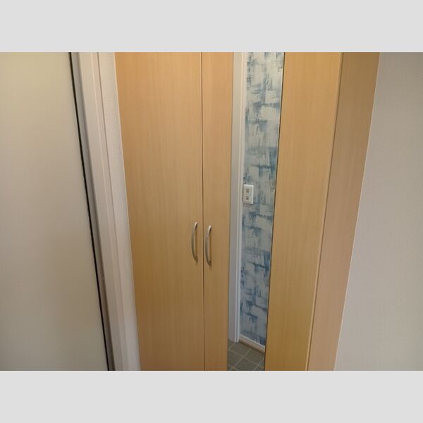 その他 (シューズボックス)