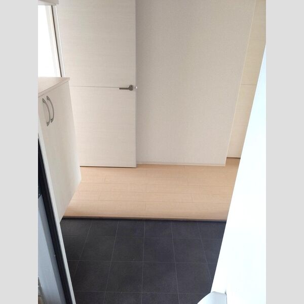 玄関 (シューズボックス付き玄関)