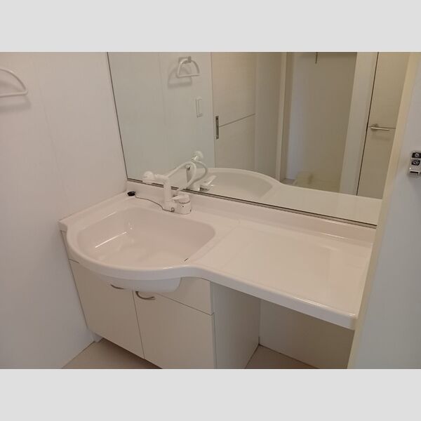 洗面所 (洗髪洗面化粧台)