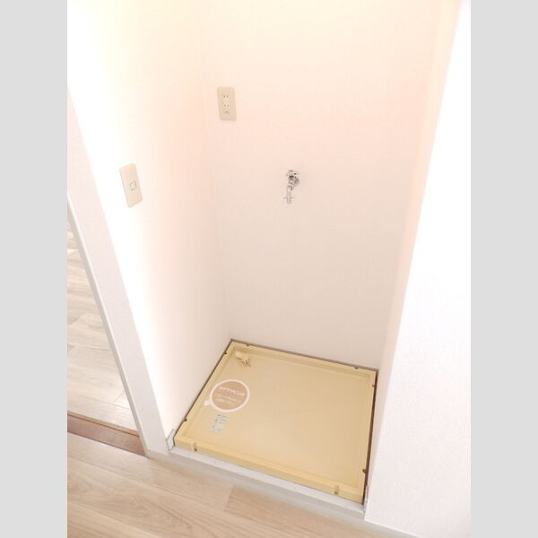 洗面所 (室内洗濯機置場)