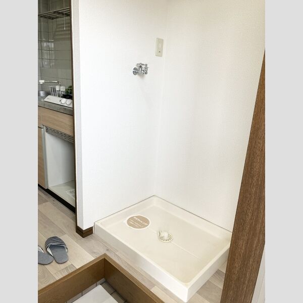 その他 (室内洗濯機置き場)