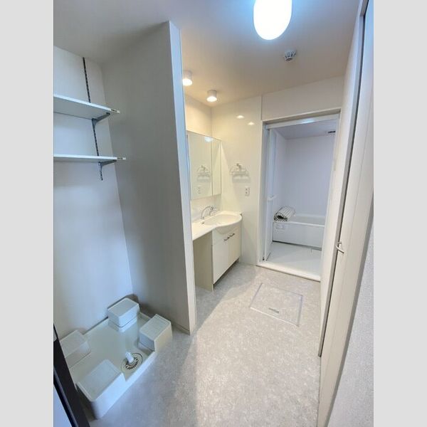 洗面所 (洗面所)