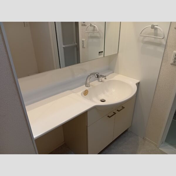 洗面所 (洗髪洗面化粧台)