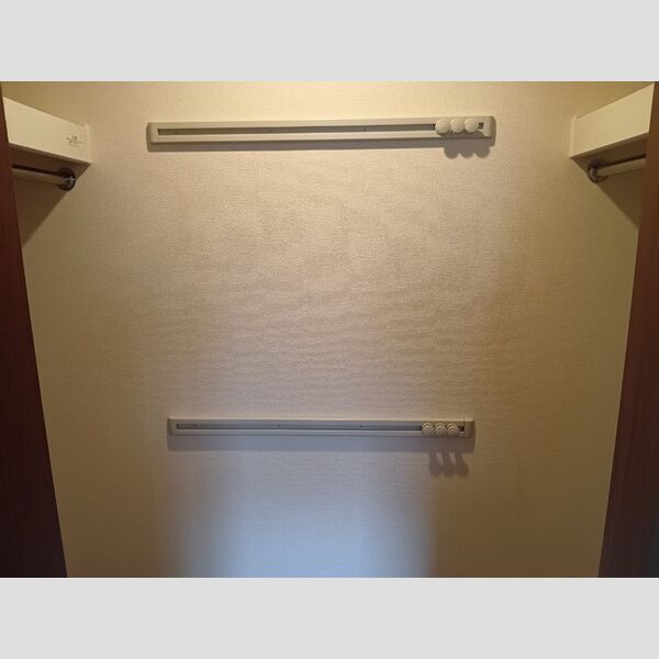 収納 (ウォークインクローゼット)