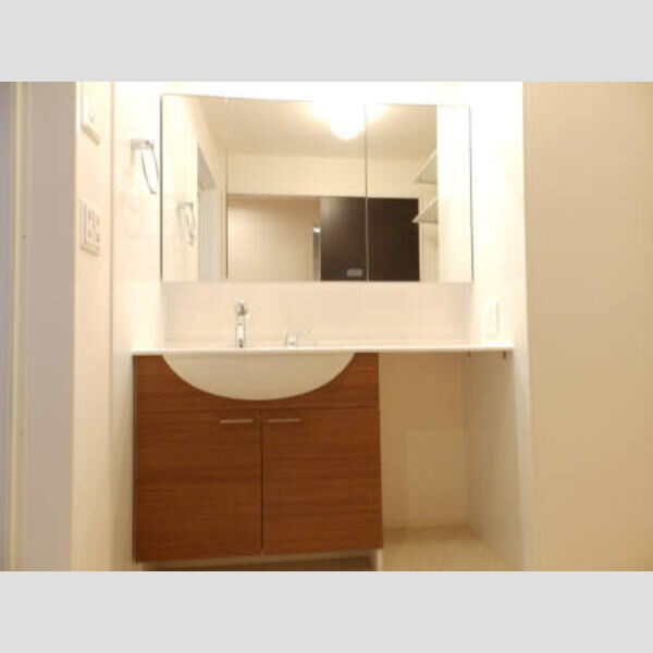 洗面所 (201 カウンタータイプ洗面台)