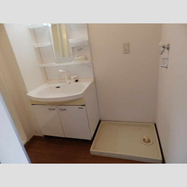 洗面所 (洗髪洗面化粧台・洗濯機置き場)