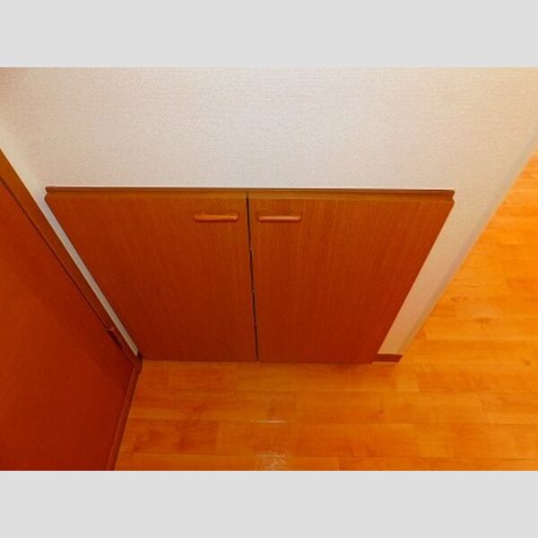 その他 (シューズボックス)