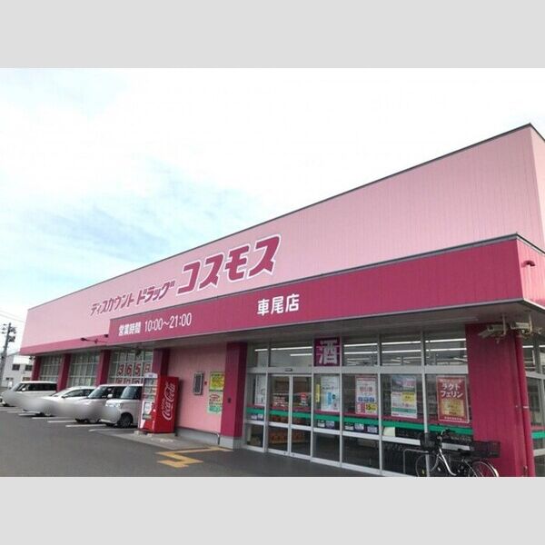 現地周辺 (コスモス 車尾店(1500m))