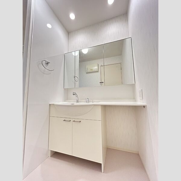 洗面所 (洗髪洗面化粧台)