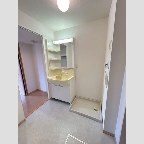 洗面所 (洗面所(洗髪洗面化粧台))