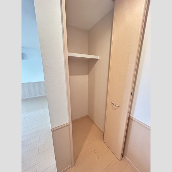 収納 (物入(LDK))