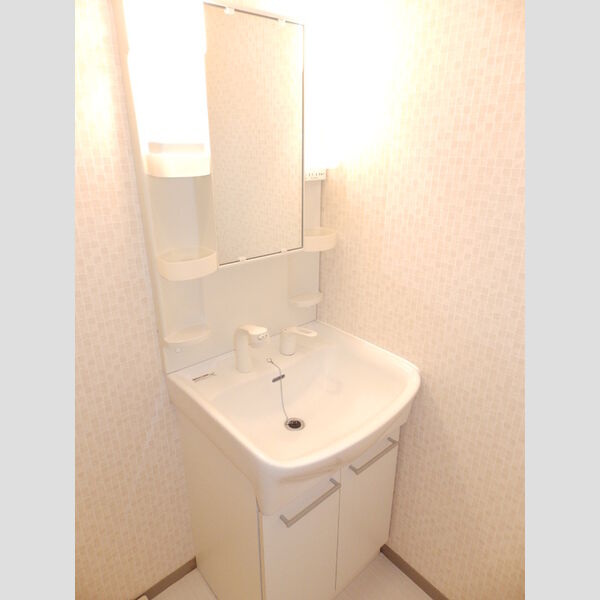 洗面所 (洗面所)