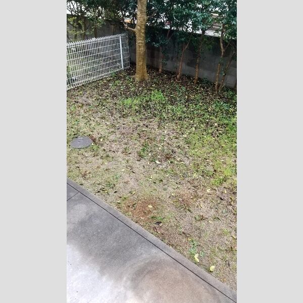 その他 (専用庭)