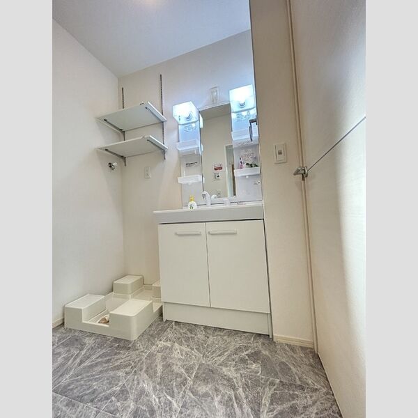 洗面所 (洗面所(洗髪洗面化粧台))