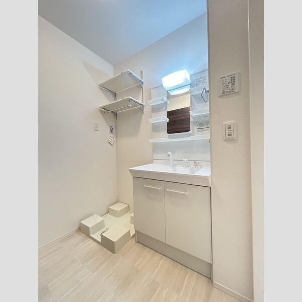 洗面所 (洗髪洗面化粧台・ランドリー可動棚付)