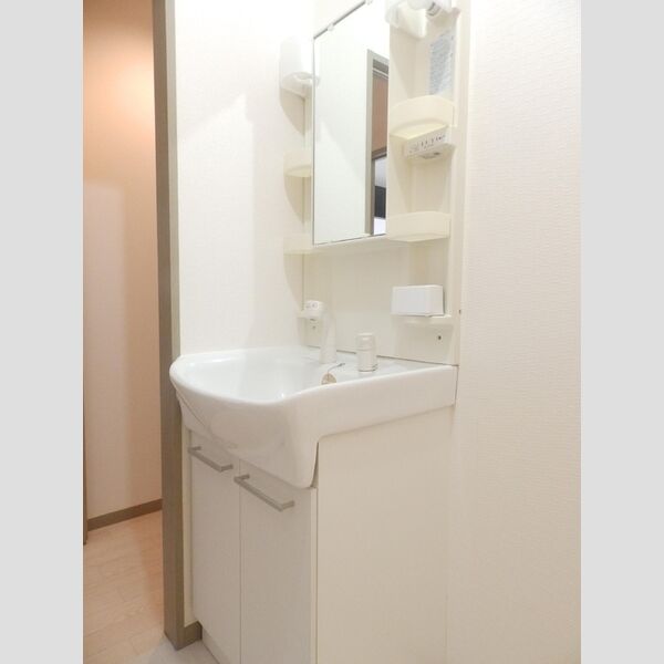 洗面所 (洗髪洗面化粧台)