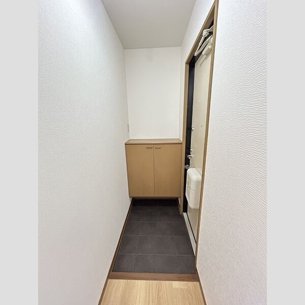 玄関 (玄関(カウンタータイプのシューズボックス))
