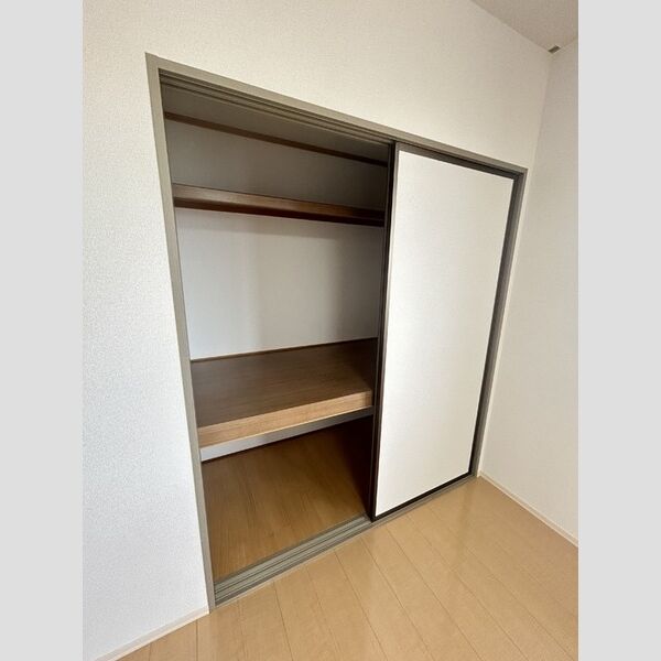 収納 (物入(北側洋室))