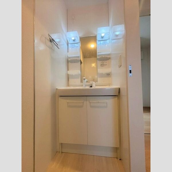 洗面所 (洗髪洗面化粧台)