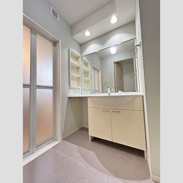 その他 (ゆったりサイズの洗髪洗面化粧台)