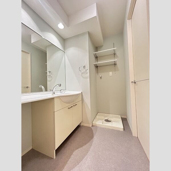 洗面所 (洗髪洗面化粧台・ランドリー可動棚付)