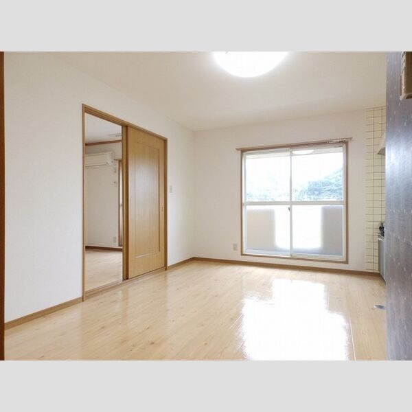 居室・リビング (DK(照明付き))