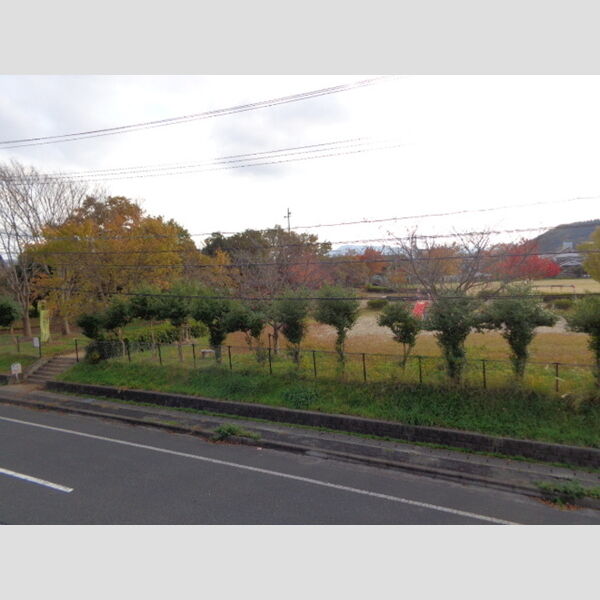 現地周辺 (洋室からの眺望(公園))