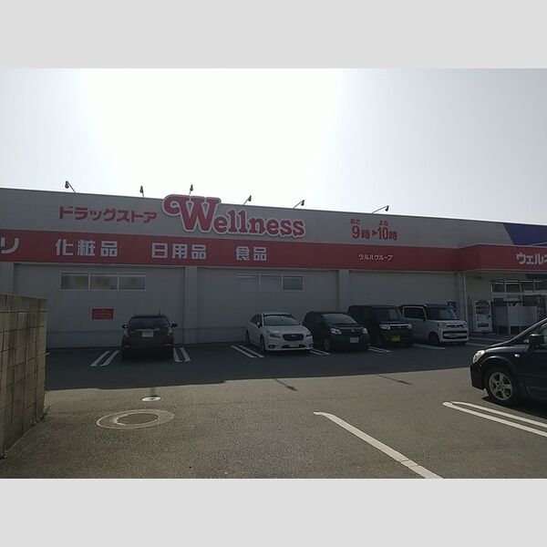 現地周辺 (ドラッグストアウェルネス片原店 316m)