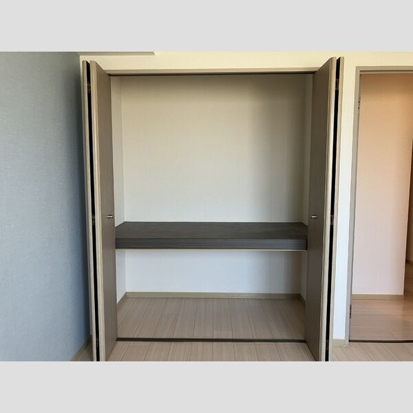 収納 (北側洋室収納)