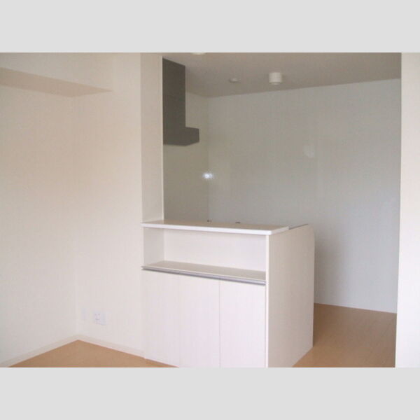 居室・リビング (204　LDK)