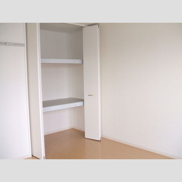 収納 (東側洋室(物入))