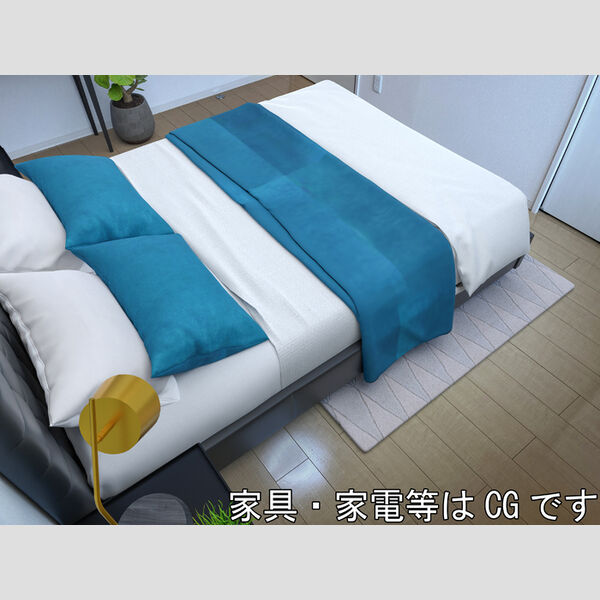 その他 (北側洋室6.0帖※家具家電等はCGです。実際には設置されておりません。)