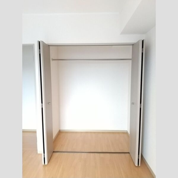 収納 (南西洋室クローゼット)