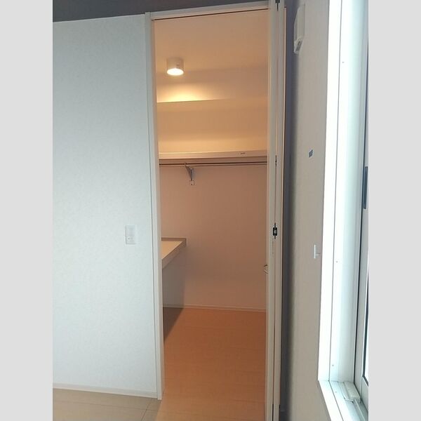 収納 (ウォークインクローゼット)