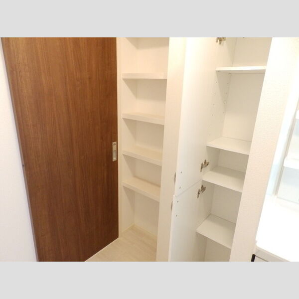 収納 (201　洗面室収納)