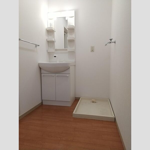 洗面所 (洗面室(洗髪洗面化粧台))