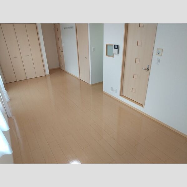 居室・リビング (洋室13.2帖)