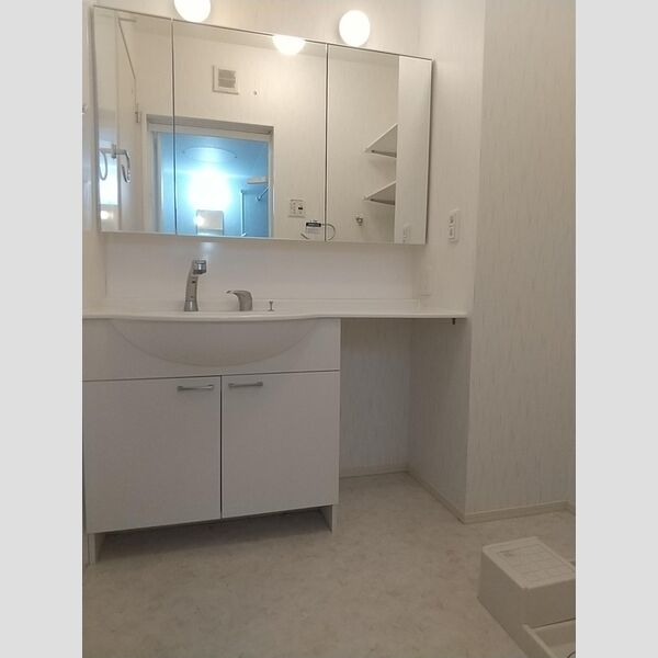 洗面所 (洗面室(洗髪洗面化粧台))