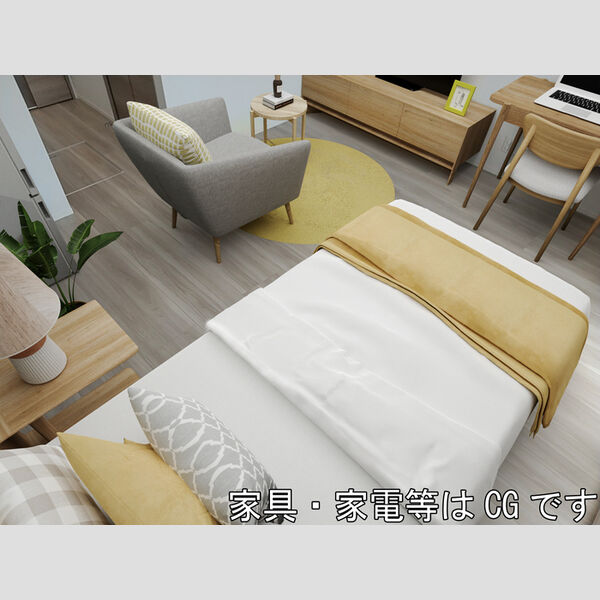 その他 (洋室8.8帖※家具家電等はCGです。実際には設置されておりません。)