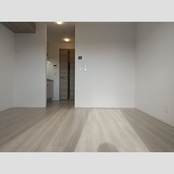 その他 (洋室8.8帖)