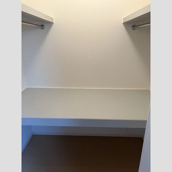 収納 (ウォークインクローゼット)