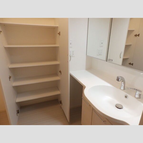 その他 (203　洗面所収納)