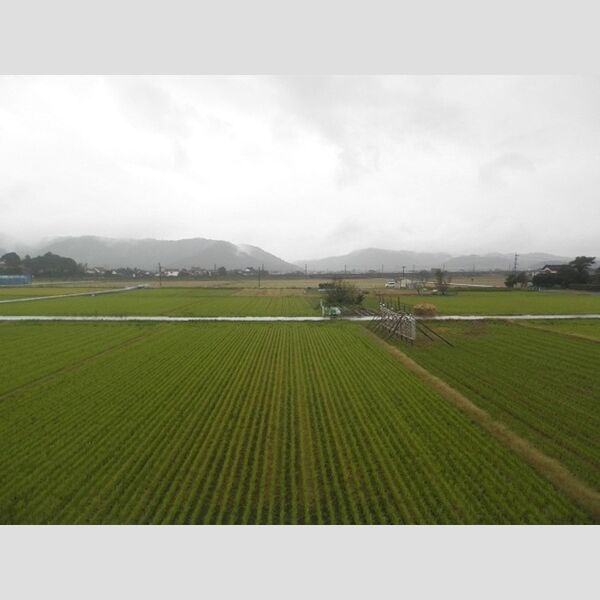 現地周辺 (眺望)