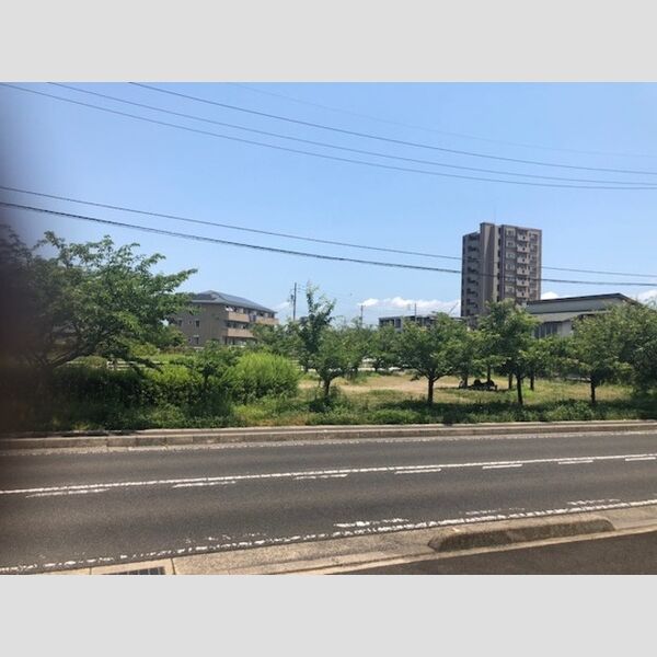 現地周辺 (眺望)