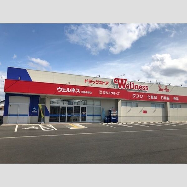 現地周辺 (ドラッグストアー)